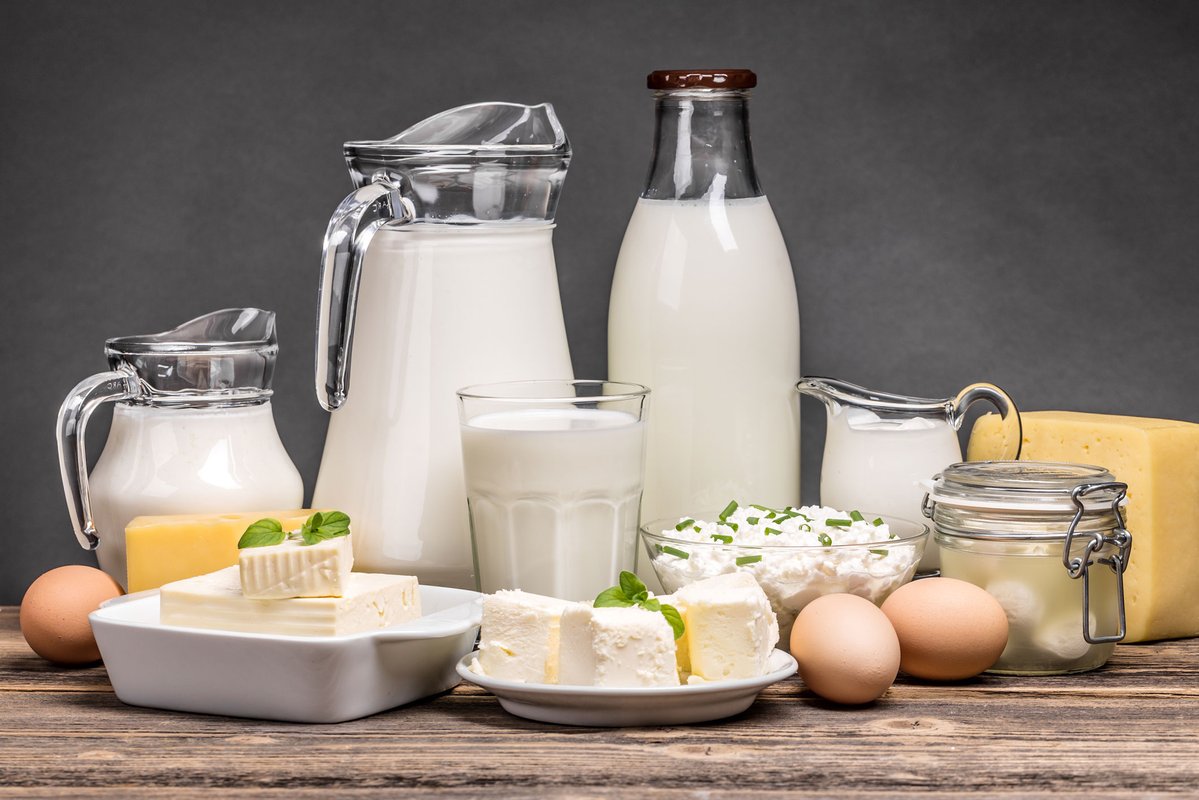 Milk and Dairy Refrigeration Systems